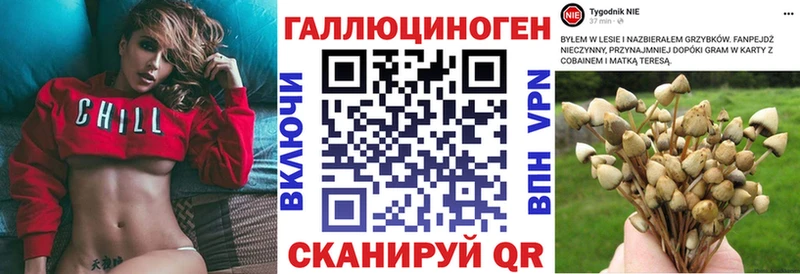 Галлюциногенные грибы GOLDEN TEACHER Дальнереченск